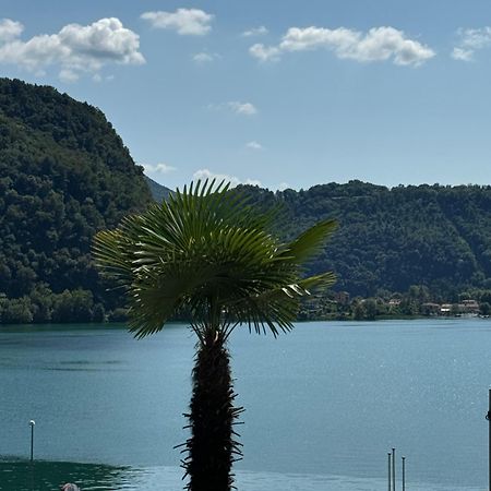 Neue Gartenwohnung Mit Sicht Auf Den Luganersee Ponte Tresa Kültér fotó