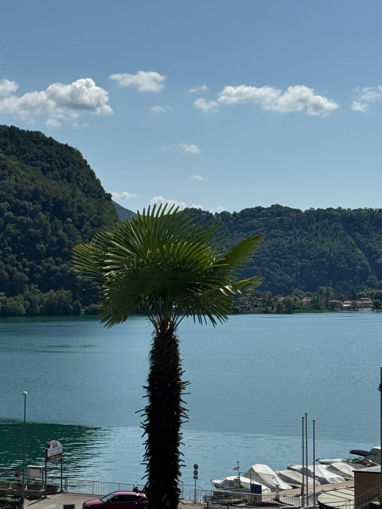 Neue Gartenwohnung Mit Sicht Auf Den Luganersee Ponte Tresa Kültér fotó